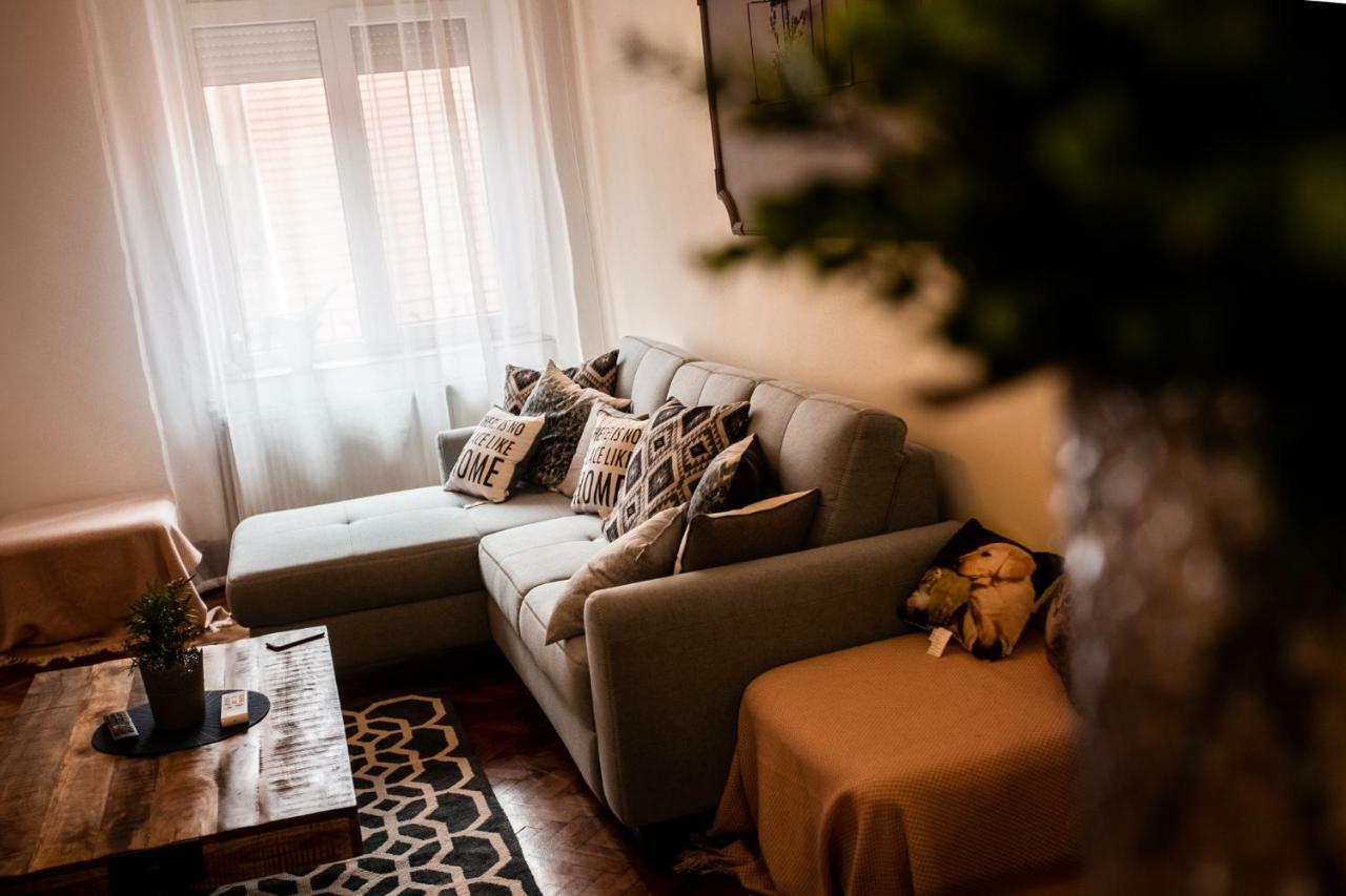 Art Downtown Alecsandri St Luxury Apartment Oradea Bagian luar foto